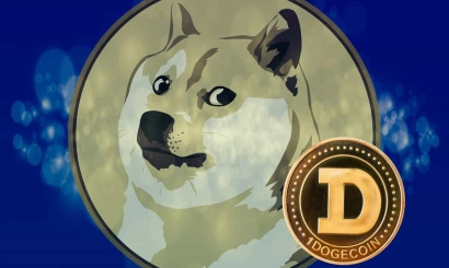 The number of transactions in the Dogecoin network rose to an all-time high