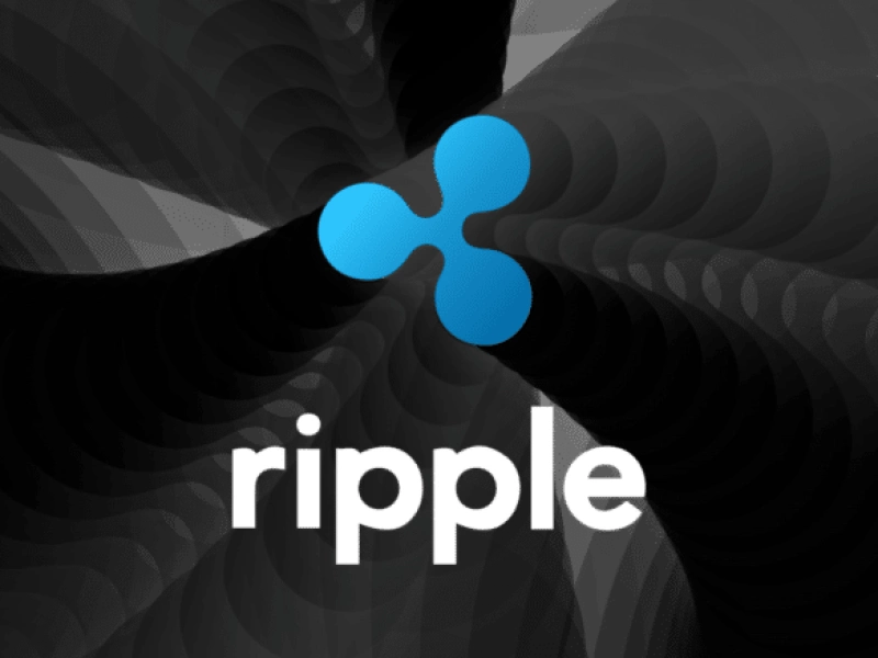 The platform runs on a private blockchain based on XRP Ledger (XRPL) technology.