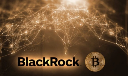 The head of BlackRock has stated about the potential of Bitcoin