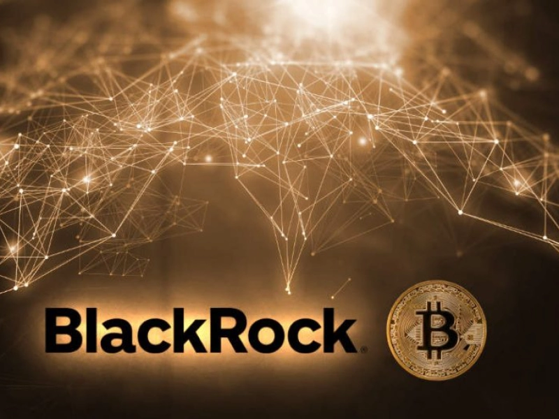 The head of BlackRock has stated about the potential of Bitcoin