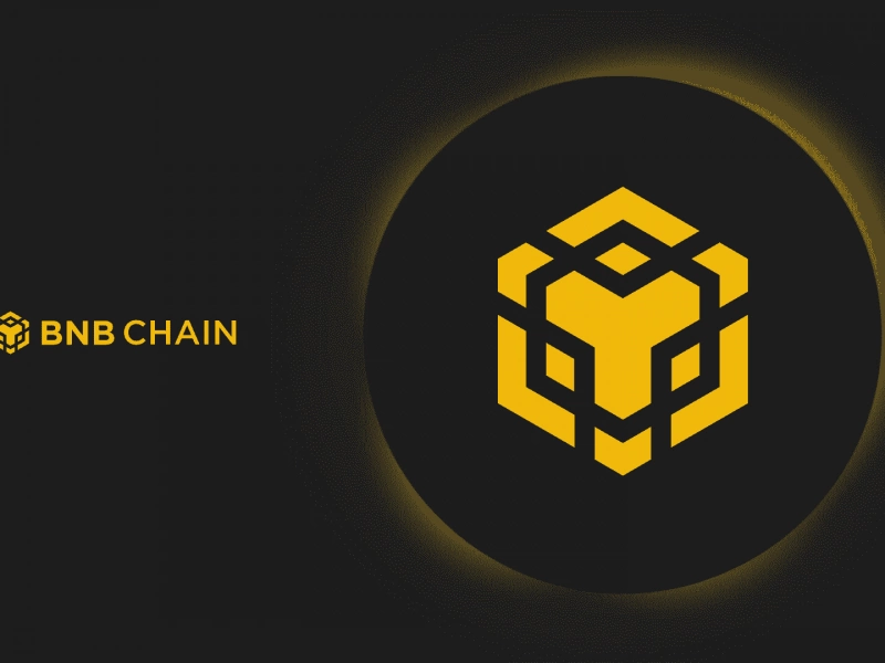 BNB Chain will decide the fate of blocked crypto-assets by vote