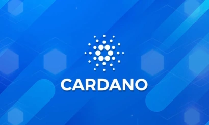 Creators of Cardano-based dApps have stepped up dramatically